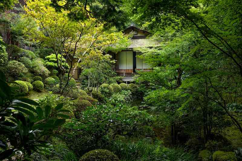 Nice picture to make you pay me ;-)